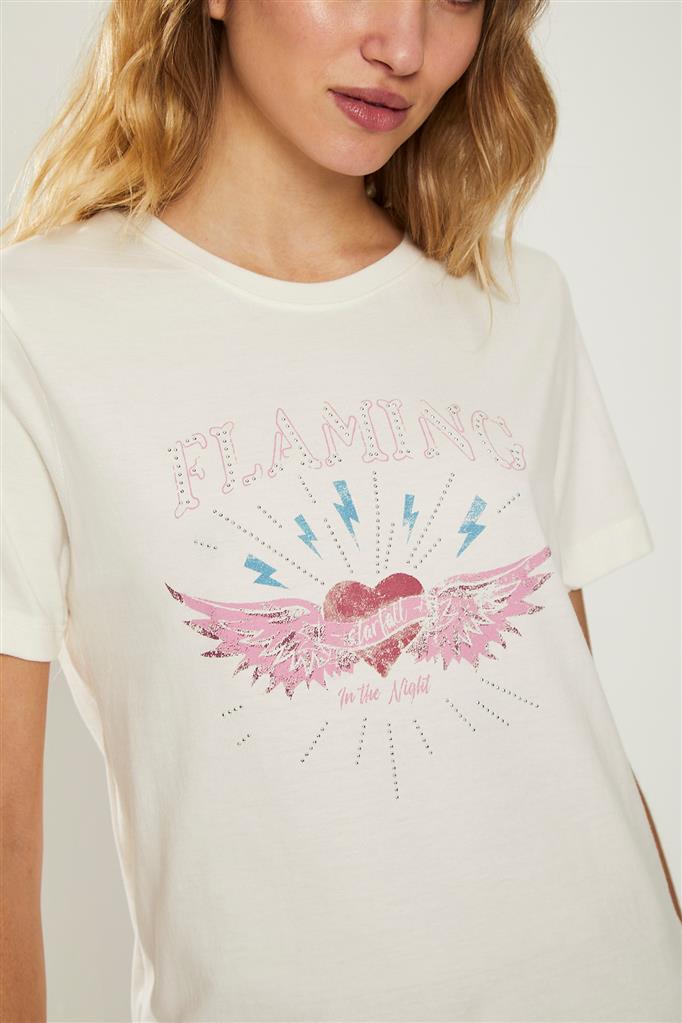 Remera FLAMING