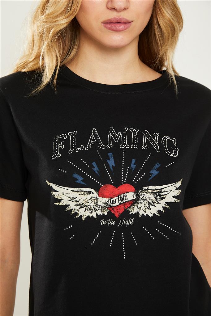 Remera FLAMING